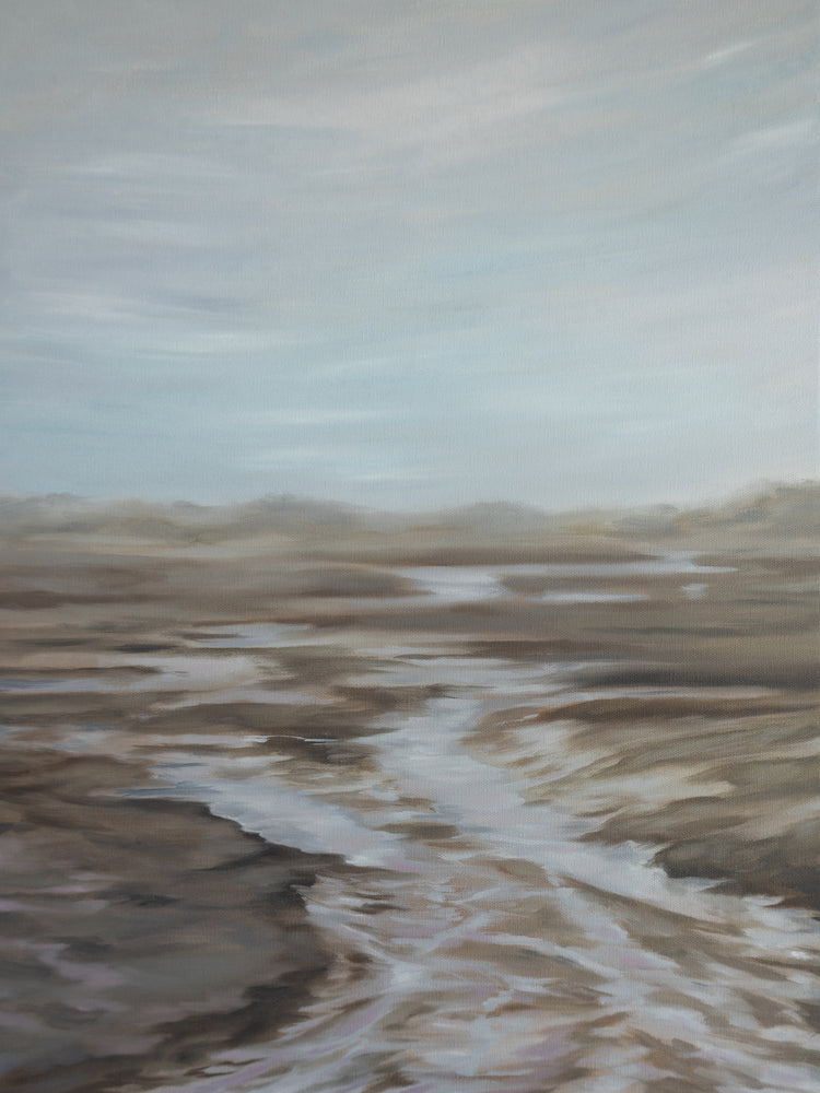 Tidal Cove